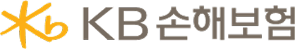 KB손해보험